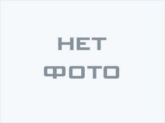 Кaмeнка ЭКМ 1-6 "Престиж Плюс" от производителя ЭЛНА ТЭН